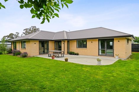 Photo of property in 17a Normanby Street East, Rakaia, 7710