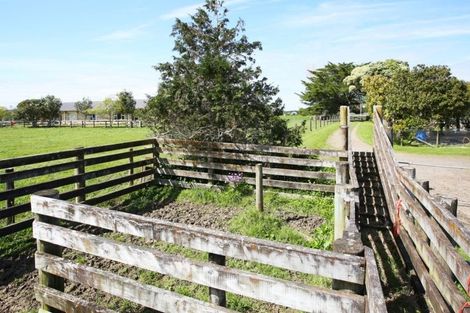 Photo of property in 86 Saddleton Road, Clarks Beach, Pukekohe, 2679