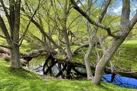 Photo of property in 88 Maytown Road, Waimate, 7978
