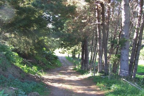 Photo of property in 7 Sheppard Street, Gate Pa, Tauranga, 3112