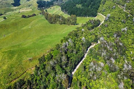 Photo of property in 109 Mcivor Road, Rotoma, Whakatane, 3192