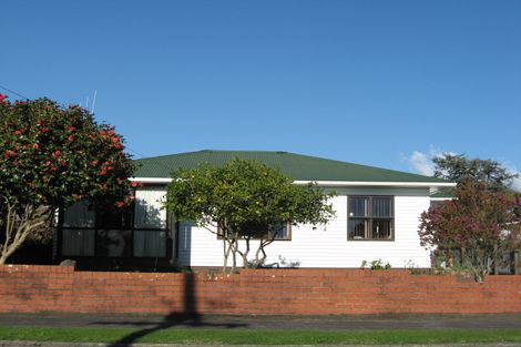 Photo of property in 13 Rata Street, Levin, 5510