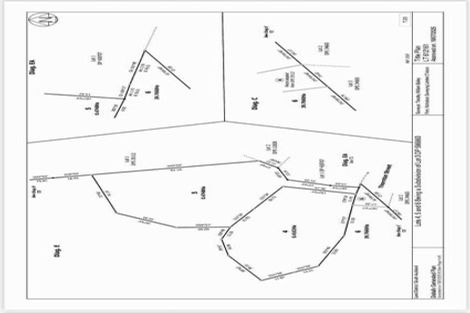 Photo of property in 141a Arapuni Street, Putaruru, 3411