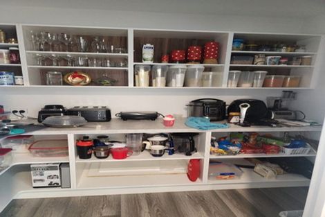 Photo of property in 33 Te Kanawa Lane, Rolleston, 7615