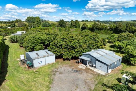 Photo of property in 168 Youngson Road, Whakamarama, Tauranga, 3179