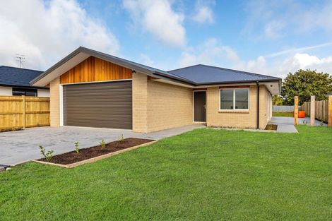 Photo of property in 63 Tainui Street, Levin, 5510