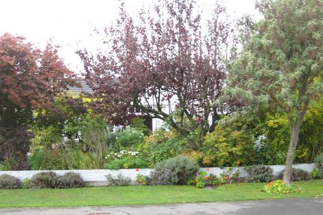 Photo of property in 19 Lothian Street, Ilam, Christchurch, 8041