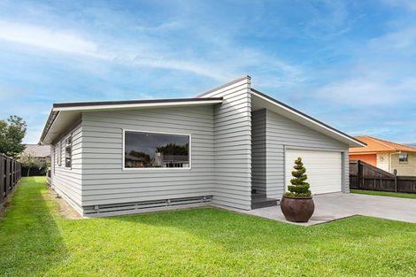 Photo of property in 39 Benner Drive, Ngatea, 3503