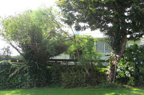 Photo of property in 38 Whakapaki Street, Urenui, 4375