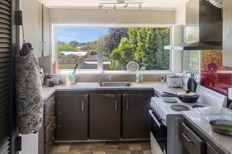 Photo of property in 47 Aurora Terrace, Hillcrest, Hamilton, 3216