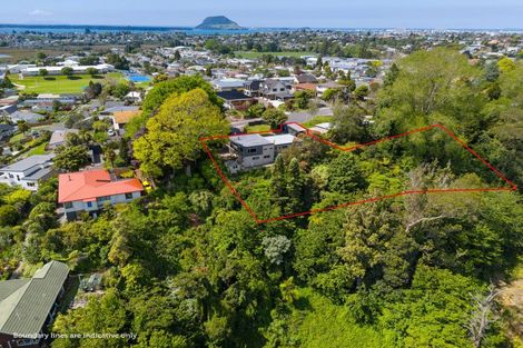 Photo of property in 270 Bellevue Road, Bellevue, Tauranga, 3110