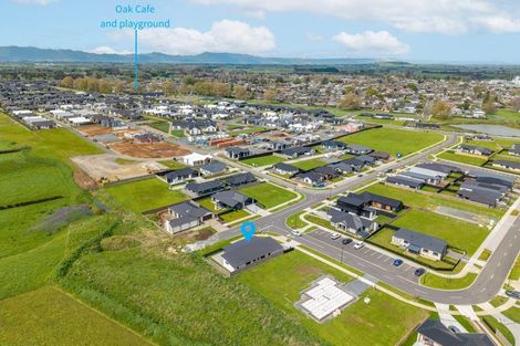 Photo of property in 49 Hoki Avenue, Morrinsville, 3300