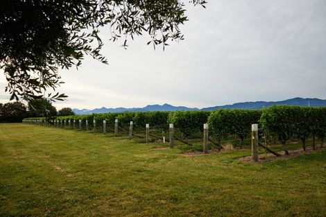 Photo of property in 22 Burnside Avenue, Springlands, Blenheim, 7272