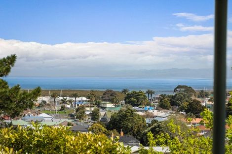 Photo of property in 101 Oakley Crescent, Thames, 3500