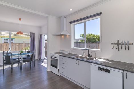 Photo of property in 38 Princes Street, Levin, 5510