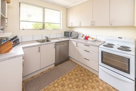 Photo of property in 17b Terrace Street, Aramoho, Whanganui, 4500