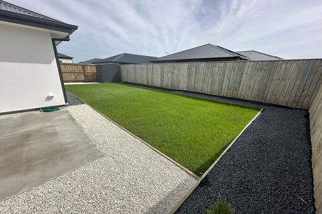 Photo of property in 41 Te Repo Drive, Halswell, Christchurch, 8025