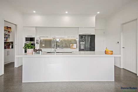 Photo of property in 88 Clark And Denize Road, Pukekawa, Tuakau, 2696