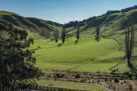 Photo of property in 717 Puketitiri Road, Puketapu, Napier, 4182