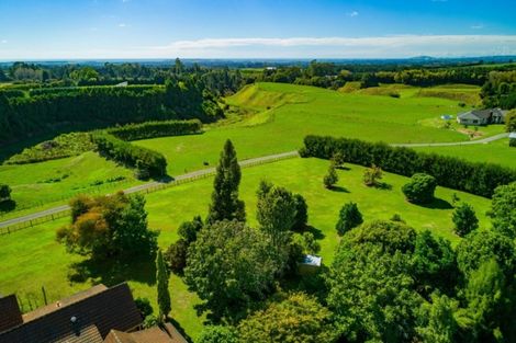 Photo of property in 955 Te Matai Road, Te Ranga, Te Puke, 3188