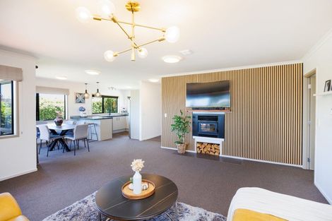 Photo of property in 115 Mount Taylor Drive, Feilding, 4775