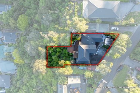 Photo of property in 45 Pohutukawa Avenue, Shelly Park, Auckland, 2014