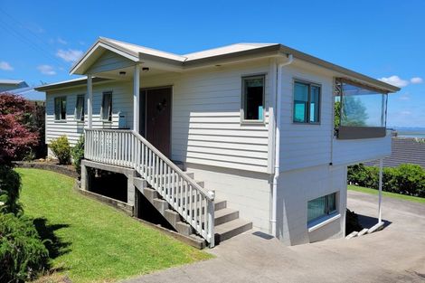 Photo of property in 109 Danby Street, Thames, 3500