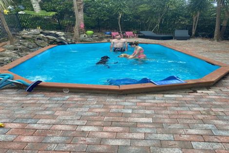 Photo of property in 341 Upper Harbour Drive, Greenhithe, Auckland, 0632