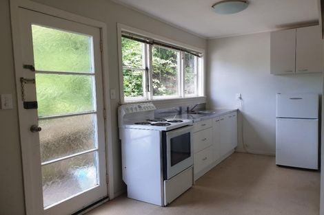 Photo of property in 45 Adams Terrace, Aro Valley, Wellington, 6021
