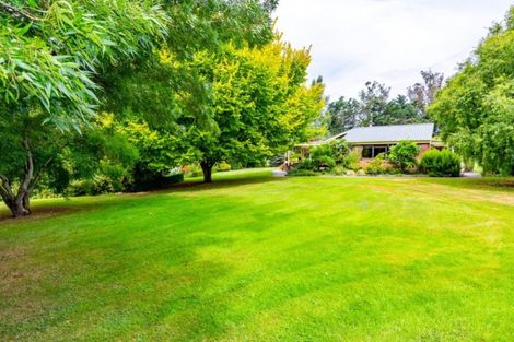 Photo of property in 252 Downs Road, Geraldine Downs, Geraldine, 7991