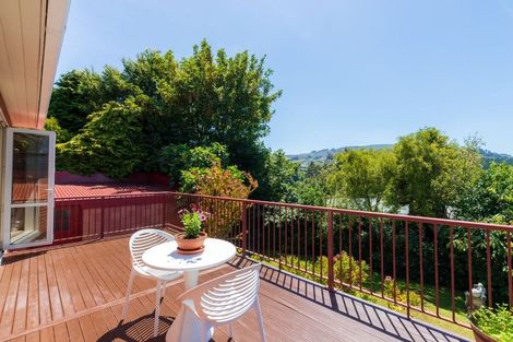 Photo of property in 29 Wilkinson Street, Liberton, Dunedin, 9010