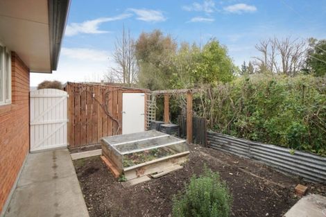 Photo of property in 19b Oxford Road, Rangiora, 7400