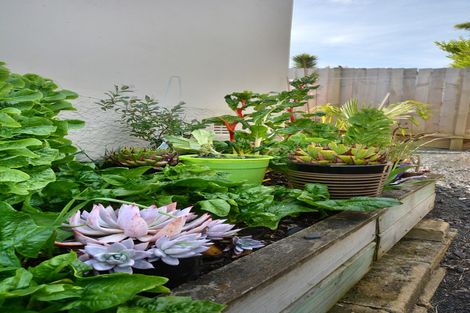 Photo of property in 8 Napier Street, Belleknowes, Dunedin, 9011