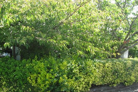 Photo of property in 15 Dover Street, St Albans, Christchurch, 8014