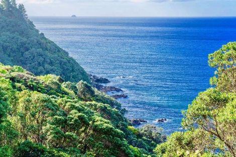 Photo of property in 210 Pumpkin Hill Road, Pumpkin Hill, Whitianga, 3591