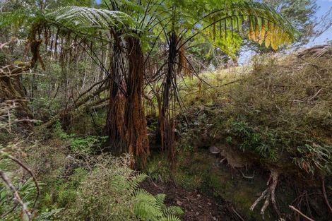 Photo of property in 289 Otuhi Road, Wheki Valley, Whangarei, 0179