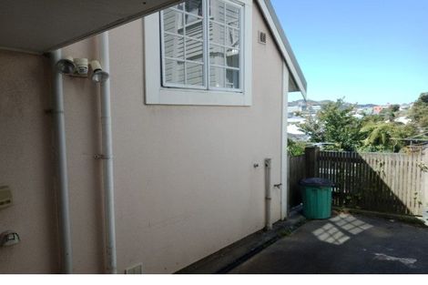 Photo of property in 97 Tasman Street, Mount Cook, Wellington, 6021