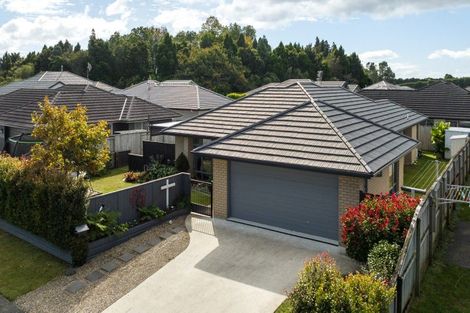 Photo of property in 4 Nolan Place, Katikati, 3129