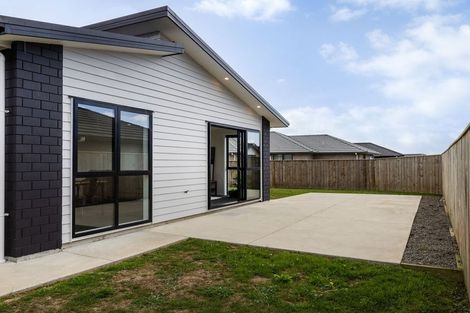 Photo of property in 104 Hinemoa Street, Levin, 5510