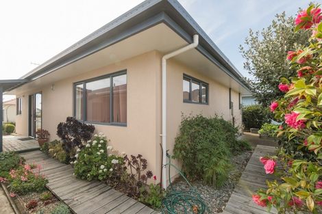 Photo of property in 42 The Drive, Richmond, 7020