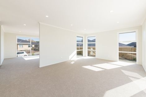 Photo of property in 20 Travers Avenue, Richmond, 7020