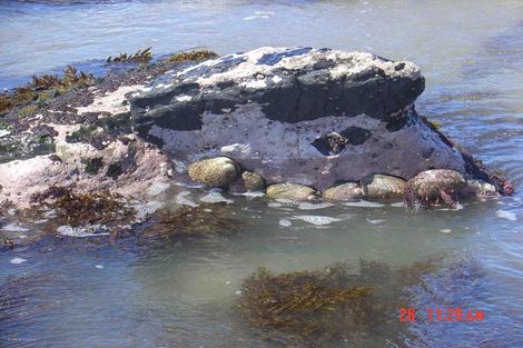 Photo of property in 1 Nunu Drive, Flat Point, Masterton, 5883