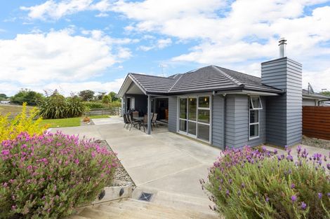 Photo of property in 138 Greer Court, Bunnythorpe, Palmerston North, 4481