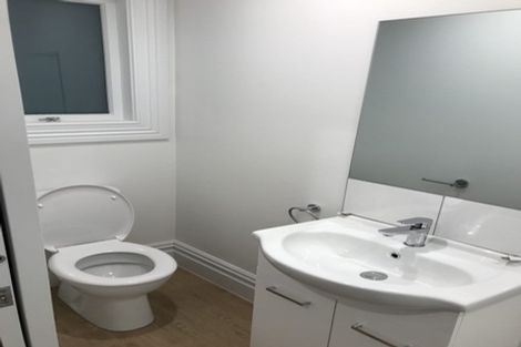 Photo of property in 23 Buchanan Street, Kingsland, Auckland, 1021