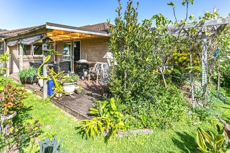 Photo of property in 100 Greenhills Drive, Coromandel, 3506