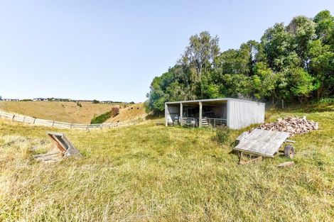 Photo of property in 47 Ngatarua Road, Putiki, Whanganui, 4500