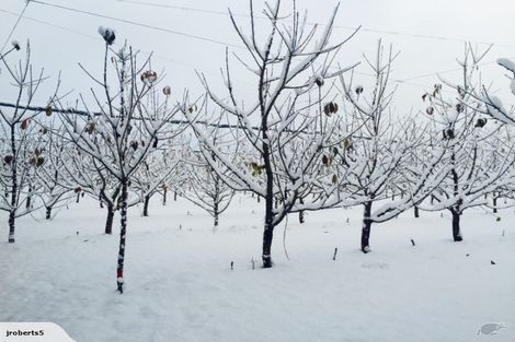 Photo of property in 66 Gladsmuir Road, Queensberry, Cromwell, 9383