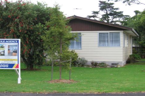 Photo of property in 57 Tabitha Crescent, Henderson, Auckland, 0612