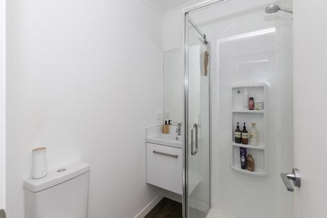 Photo of property in 52 Lulu Avenue, Chartwell, Hamilton, 3210