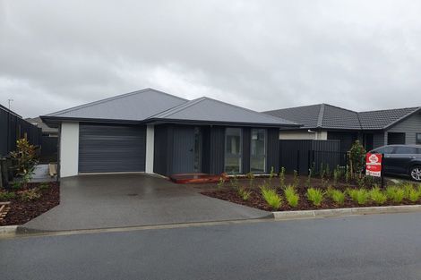 Photo of property in 10 Ash Lane, Omokoroa, 3114